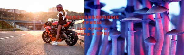 винт Алексеевка