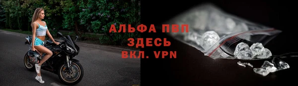 сатива Абинск