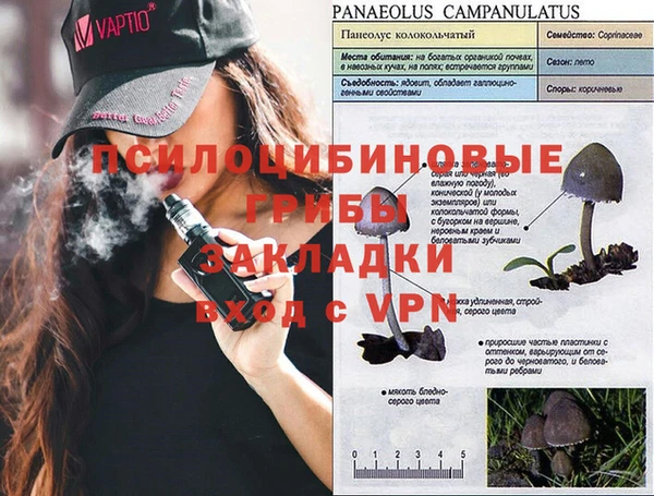 гидра Алексин