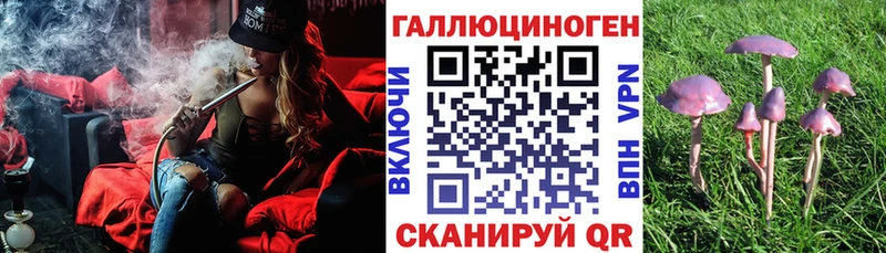 Галлюциногенные грибы мухоморы Яблоновский